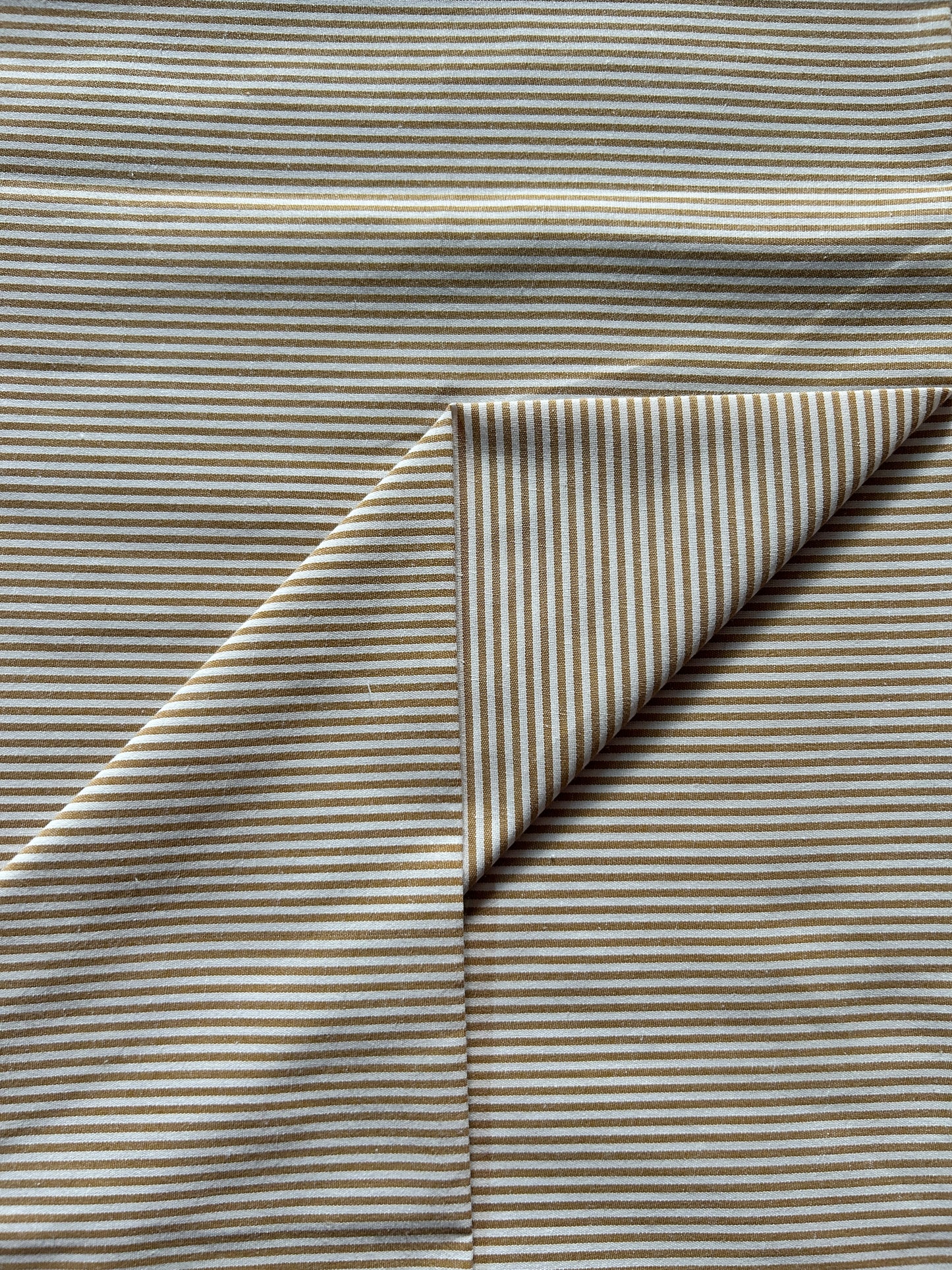 Beige PC plain stripe FBS026106