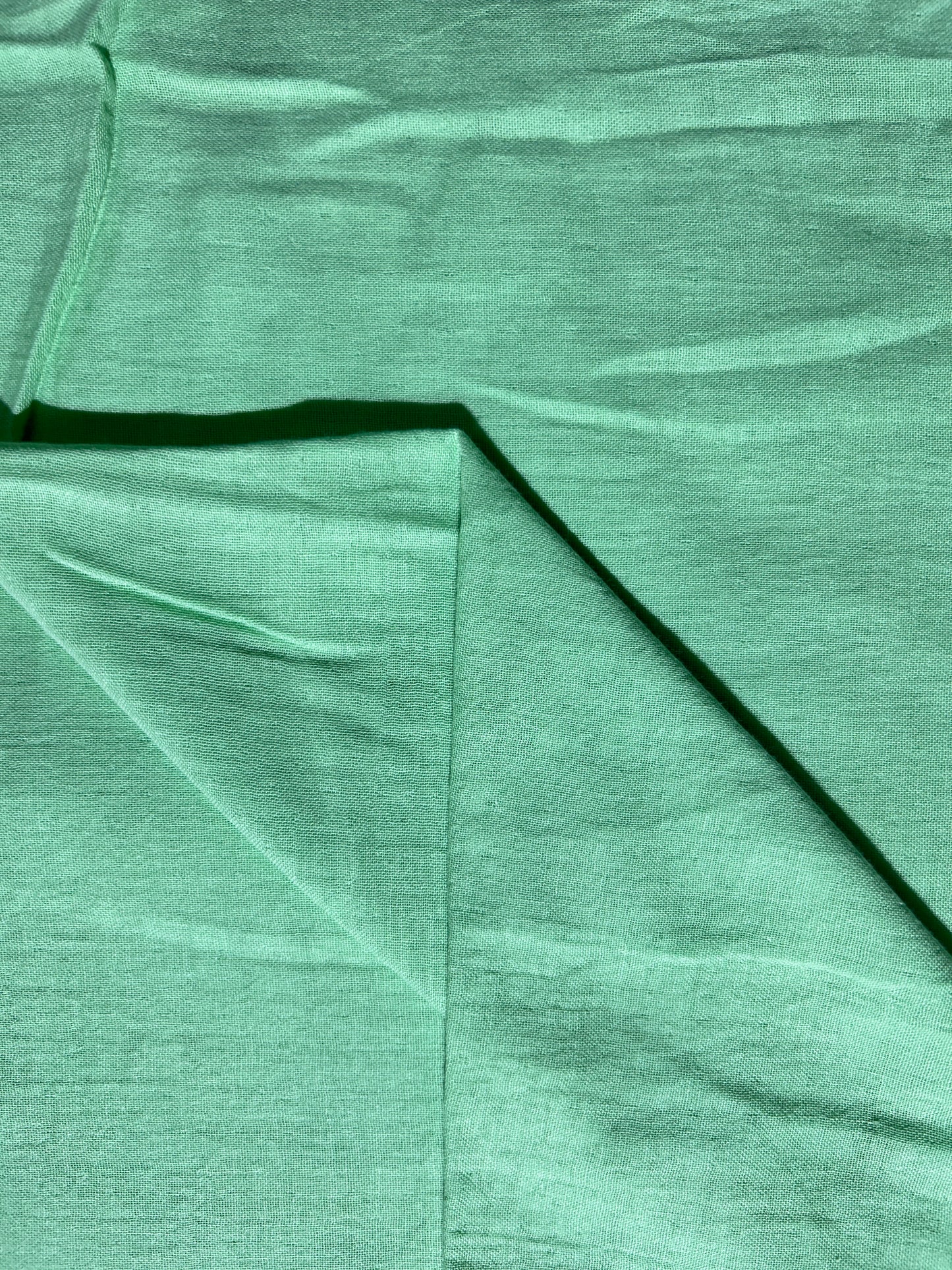 Light Green Double Cloth Fabric FBS026126
